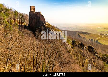 Ruine des Schlosses Girsberg bei Ribeauvillé, Frankreich Stockfoto