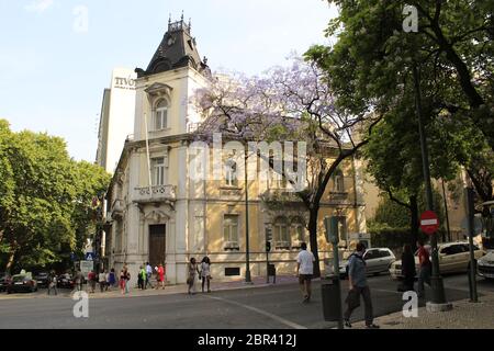 Rua Barata Salguero und Avinda da Liberdade, Lissabon, Portugal 1. Juni 2012: Menschen, die an einem schönen Sommerabend unter Jacaranda Blumen spazieren. Stockfoto
