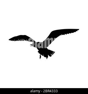 Fliegende Möwe Vogel schwarze Silhouette auf weißem Hintergrund isoliert. Vektorgrafik. Stock Vektor