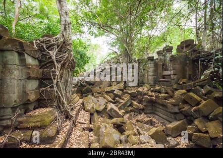 Unrestaurierte Ruinen am Dschungeltempel von Beng Mealea. Angkor, UNESCO-Weltkulturerbe, Provinz Siem Reap, Kambodscha, Südostasien Stockfoto