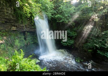 Glencar Wasserfall, in der Nähe von Glencar Lake, 11 km westlich von Manorhamilton in der Grafschaft Leitrim, Irland Stockfoto