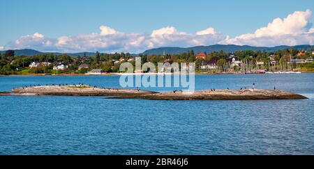 Oslo, Ostlandet / Norwegen - 2019/09/02: Panoramablick auf den Hafen von Oslofjord mit Kormoran-Seevögeln auf einem Felsen mit Bigdoy Oslo-Viertel im Hintergrund Stockfoto