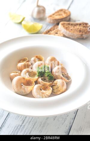 Teil der gekochten Schnecken Stockfoto