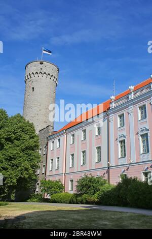 Das estnische Parlamentsgebäude auf dem Hügel Toompea im zentralen Teil der Altstadt, Tallinn, der Hauptstadt Estlands. Stockfoto