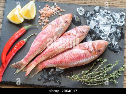 Raw Rotbarbe mit Zutaten Stockfoto