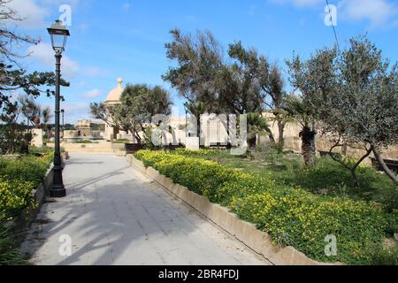 Gardening: Garten in senglea (malta) Stockfoto