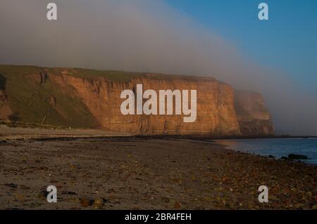 Die Klippen der Insel Helgoland im Nebel Stockfoto