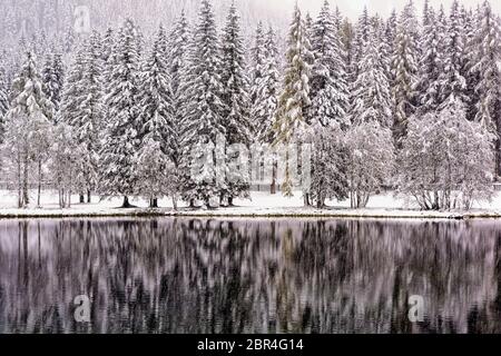 Italien Südtirol - Dolomiten Im Pustertal Antholz See Stockfoto