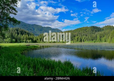 Lower Marsh, Minnekhada Regional Park, Coquitlam, British Columbia, Kanada Stockfoto