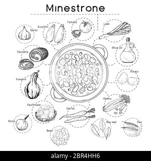 Suppenrezept der italienischen Küche. Minestrone. Teller mit Suppe und verschiedenen Zutaten auf weißem Hintergrund isoliert. Vektorgrafik Stock Vektor