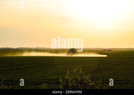 Jets von Flüssigdünger aus dem Traktor Feldspritze. Traktor mit Hilfe einer Spritze sprays Flüssigdünger auf jungen Weizen im Feld. Die Verwendung Stockfoto