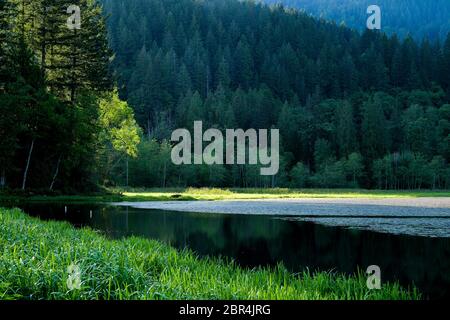 Lower Marsh, Minnekhada Regional Park, Coquitlam, British Columbia, Kanada Stockfoto