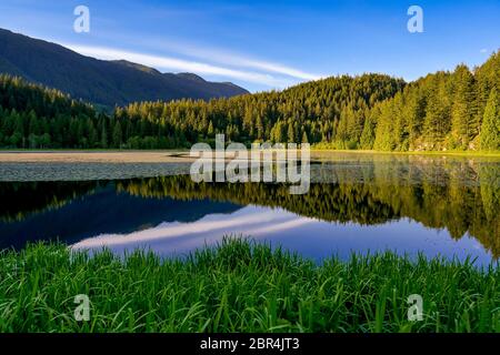 Lower Marsh, Minnekhada Regional Park, Coquitlam, British Columbia, Kanada Stockfoto