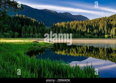 Lower Marsh, Minnekhada Regional Park, Coquitlam, British Columbia, Kanada Stockfoto