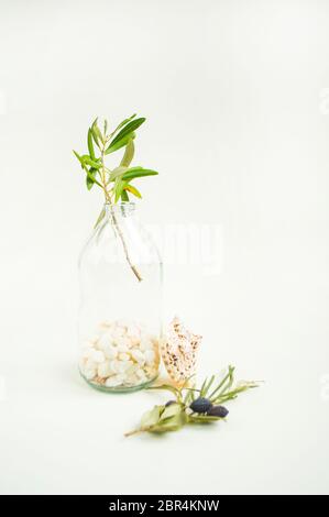 Ein Olivenzweig in einer Vintage Glasflasche auf weißem Wandhintergrund und ein handgefertigter Olivenseifenstab. Stockfoto