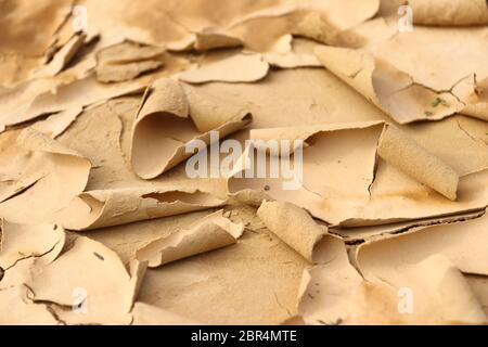 Nahaufnahme faszinierender natürlicher Formen und ausgeprägter Austrocknungsrisse in der halbwüstenartigen Naturregion Bardenas Reales, Navarra, Spanien Stockfoto