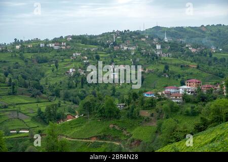 Dörfer zwischen Teeplantagen in iyidere Bezirk der Provinz Rize Stockfoto