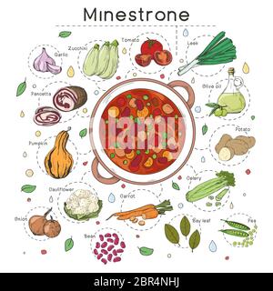 Suppenrezept der italienischen Küche. Minestrone. Teller mit Suppe und verschiedenen Zutaten auf weißem Hintergrund isoliert. Vektorgrafik Stock Vektor