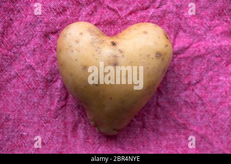 Herzförmige Kartoffeln Stockfoto