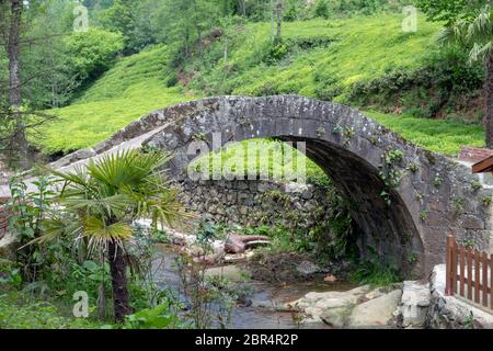 Eine alte Steinbrücke in iyidere Bezirk der Provinz Rize Stockfoto