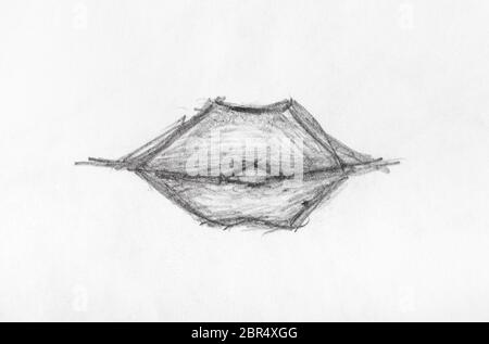 Skizze der weiblichen Lippen schließen bis von Hand von schwarzen Stift auf weißem Papier gezeichnet Stockfoto