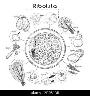 Suppenrezept der italienischen Küche. Ribollita. Teller mit Suppe und verschiedenen Zutaten auf weißem Hintergrund isoliert. Vektorgrafik Stock Vektor