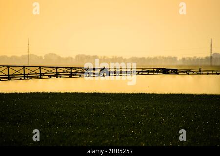 Jets von Flüssigdünger aus dem Traktor Feldspritze. Traktor mit Hilfe einer Spritze sprays Flüssigdünger auf jungen Weizen im Feld. Die Verwendung Stockfoto