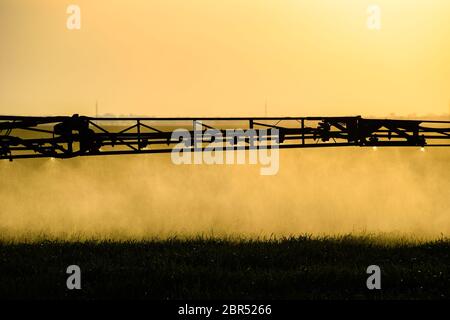 Jets von Flüssigdünger aus dem Traktor Feldspritze. Traktor mit Hilfe einer Spritze sprays Flüssigdünger auf jungen Weizen im Feld. Die Verwendung Stockfoto