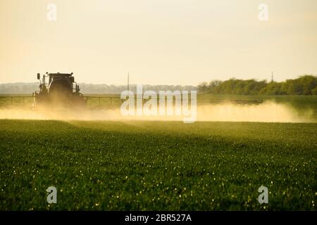 Jets von Flüssigdünger aus dem Traktor Feldspritze. Traktor mit Hilfe einer Spritze sprays Flüssigdünger auf jungen Weizen im Feld. Die Verwendung Stockfoto