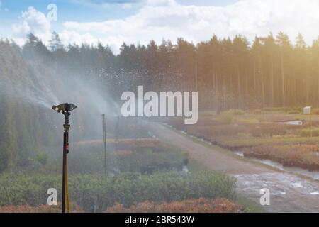 Sprinklersystem arbeiten an einer Gärtnerei Plantage. Bewässerung Stockfoto