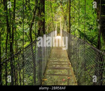 Eine von 6 Hängebrücken in Arenal Hängebrücken Park in Costa Rica Stockfoto