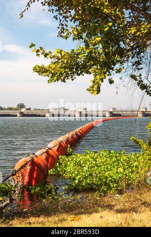 Orangenabfälle fangen Bojen im Fluss nahe dem Damm. Stockfoto