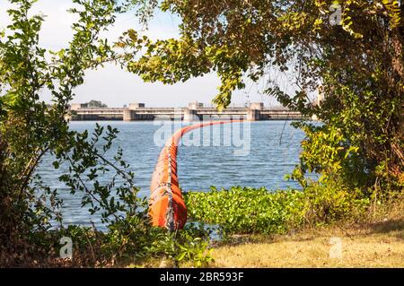 Orangenabfälle fangen Bojen im Fluss nahe dem Damm. Stockfoto