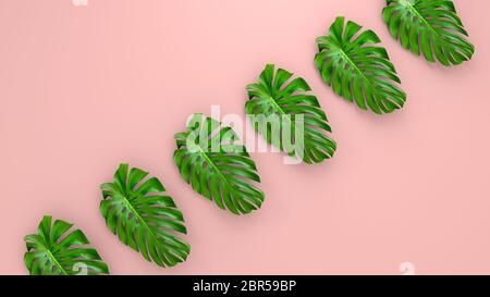 Realistische Palmblättern auf Korallen leben Hintergrund für kosmetische ad oder modeillustration. Tropische frame exotische Banane Palm. 3D-Rendering Stockfoto