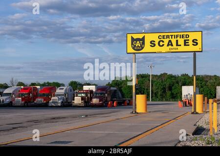 Mt. Vernon, Missouri - Juni 12 2019 - CAT-Skala. Sertified LKW und Anhänger Maßstab. Moderne LKW verschiedener Modelle Transport verschiedener Art Stockfoto