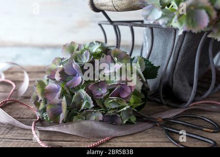 Florales Stillleben mit Hortensien im Vintage-Stil Stockfoto