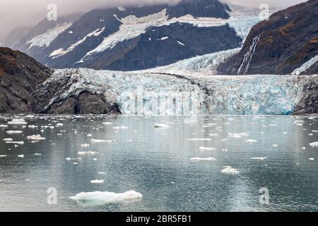 Der Überraschungsgletscher mit der mittleren Moräne und dem in Harriman Fjord in der Nähe von Whittier, Alaska schwimmenden Braseis. Surprise Glacier ist der aktivste kalbende Tauch-Gletscher im Prince William Sound. Stockfoto