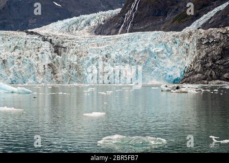 Der Überraschungsgletscher mit der mittleren Moräne und dem in Harriman Fjord in der Nähe von Whittier, Alaska schwimmenden Braseis. Surprise Glacier ist der aktivste kalbende Tauch-Gletscher im Prince William Sound. Stockfoto