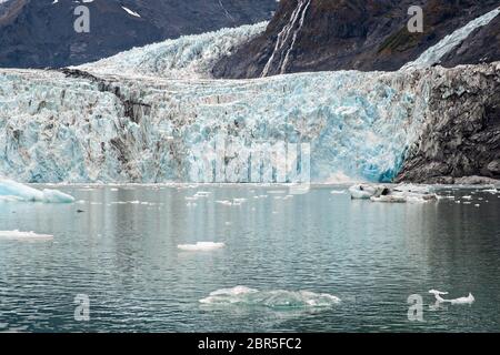 Der Überraschungsgletscher mit der mittleren Moräne und dem in Harriman Fjord in der Nähe von Whittier, Alaska schwimmenden Braseis. Surprise Glacier ist der aktivste kalbende Tauch-Gletscher im Prince William Sound. Stockfoto