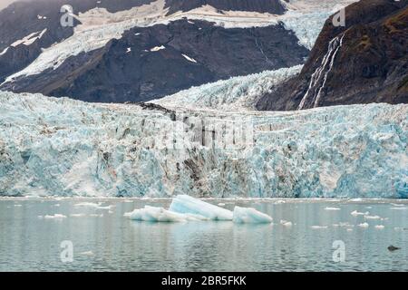 Der Überraschungsgletscher mit der mittleren Moräne und dem in Harriman Fjord in der Nähe von Whittier, Alaska schwimmenden Braseis. Surprise Glacier ist der aktivste kalbende Tauch-Gletscher im Prince William Sound. Stockfoto