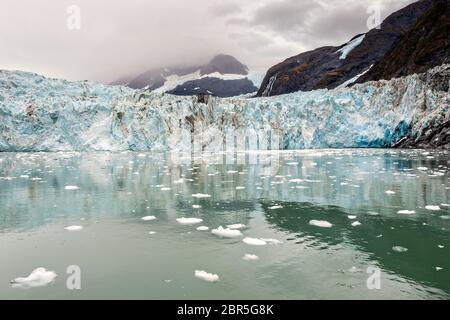 Der Überraschungsgletscher mit der mittleren Moräne und dem in Harriman Fjord in der Nähe von Whittier, Alaska schwimmenden Braseis. Surprise Glacier ist der aktivste kalbende Tauch-Gletscher im Prince William Sound. Stockfoto