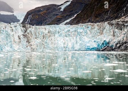 Der Überraschungsgletscher mit der mittleren Moräne und dem in Harriman Fjord in der Nähe von Whittier, Alaska schwimmenden Braseis. Surprise Glacier ist der aktivste kalbende Tauch-Gletscher im Prince William Sound. Stockfoto