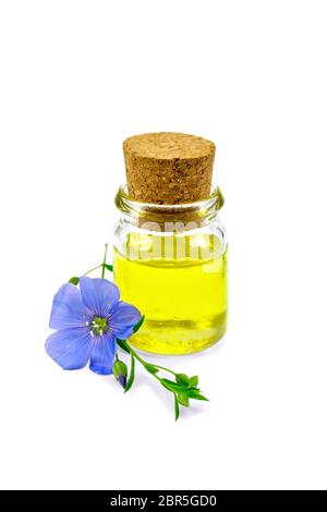 Leinöl in einer Glasflasche mit blauen Flachs Blume auf weißem Hintergrund Stockfoto