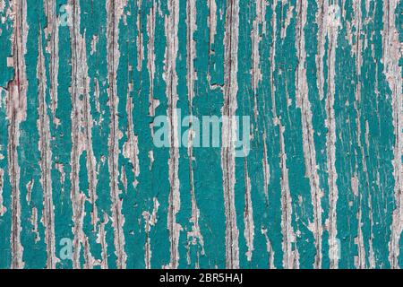 Textur der blau-grünen Schälfarbe auf der alten rauen Holzplatte. Vintage Grunge Hintergrund mit Platz für Kopie und Design. Stockfoto