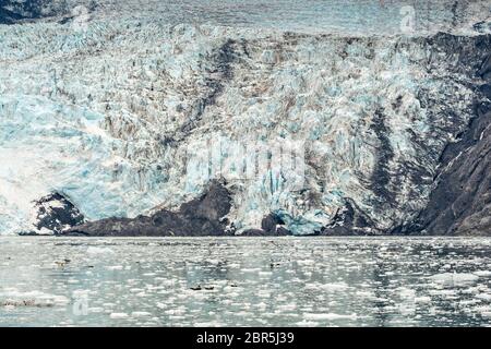 Seeotter und Seehunde ruhen auf Eisschollen, die von der massiven Oberfläche des Barry Glacier, einem Leckerbissen in Barry Arm, Harriman Fjord, Prince William Sound in der Nähe von Whittier, Alaska, abgefuhrt wurden. Stockfoto