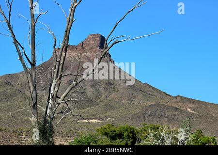 Route 66 in Arizona Stockfoto