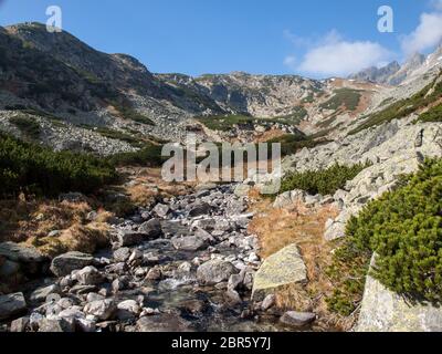 Große kalte Tal in Vysoke Tatry (Hohe Tatra), Slowakei. Die große Kalte Tal ist 7 km lange Tal, sehr attraktiv für Touristen Stockfoto