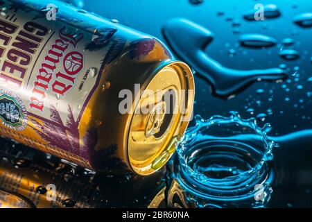 Bedford, UK, Mai 20,2020.Old Jamaica Ginger Bierkrug mit Wasserspritzern auf schwarzem Hintergrund und Wassertropfen Stockfoto