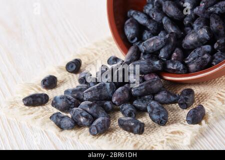 Geißblatt Beeren in einer Keramikschale auf Holzhintergrund. Stockfoto