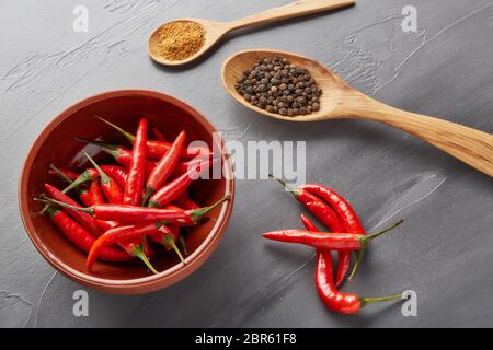 Stillleben mit verschiedenen Paprika (ganze schwarze, trockene und pulverförmige Paprika in Holzlöffeln, frische rote chilischoten in einer Schüssel) auf einem grauen Backgroun Stockfoto